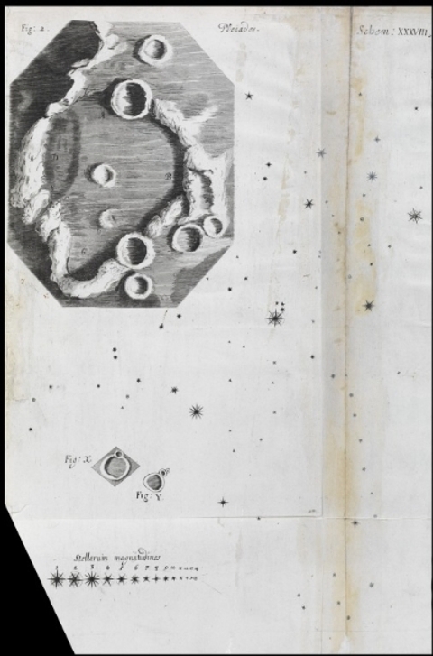 Observation LIX và Observation LX, Robert Hooke trích từ sách Micrographia (1665). Nguồn: Royal Society