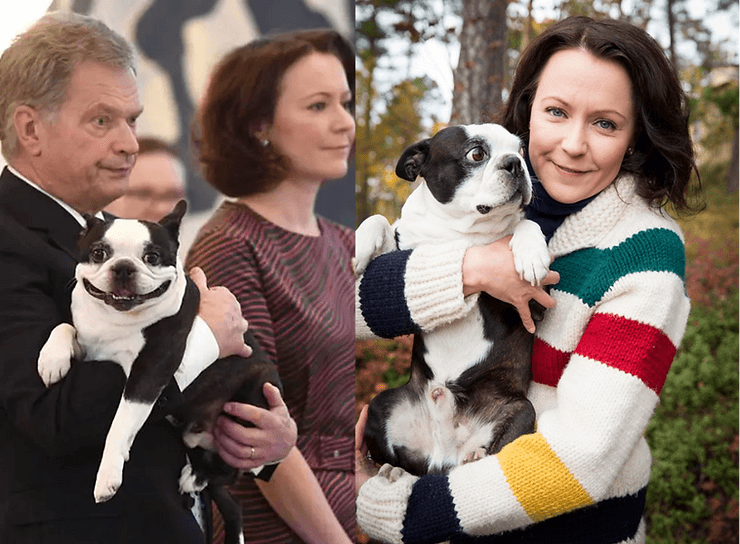 Tấm ảnh viral trên mạng xã hội về chú chó Lennu của Tổng thống Phần Lan Sauli Niinistö