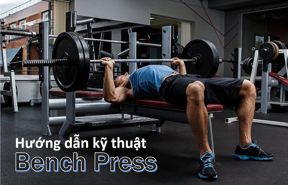 Bench Press: Bài tập đẩy tạ nằm làm săn chắc cơ bắp thân trên