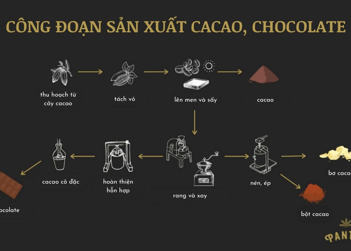 Thương hiệu cacao Việt: Hành trình từ hạt giống du nhập đến "thỏi chocolate ngon nhất thế giới"