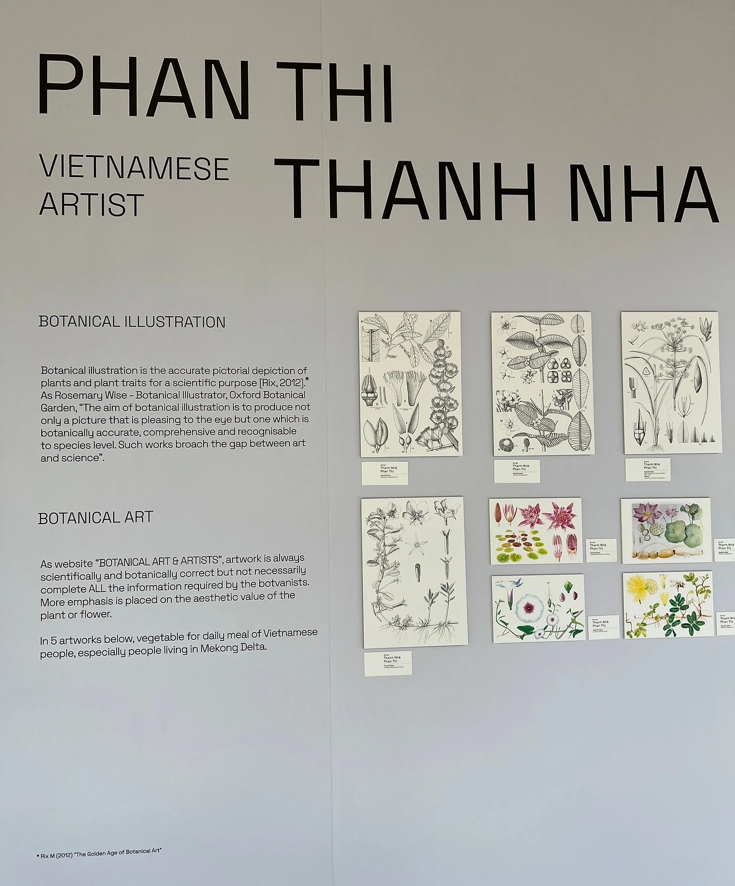 Bảng thông tin về nghệ sĩ Phan Thị Thanh Nhã được đặt trong không gian của buổi triển lãm FLORA Of Southeast Asia (Ảnh được cung cấp bởi Botanical Art Society Singapore)